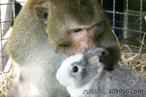 2025年第047期幽默猜测：各有优点